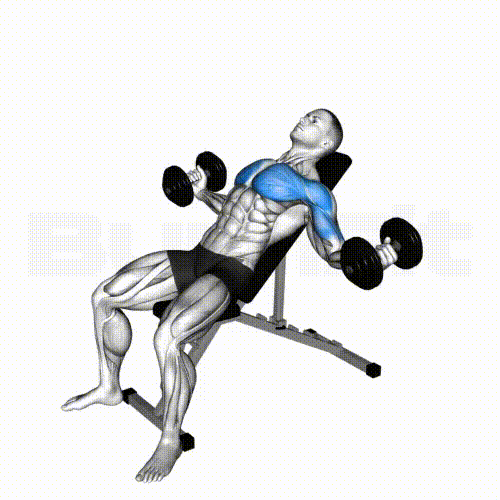 Incline Dumbbell Fly